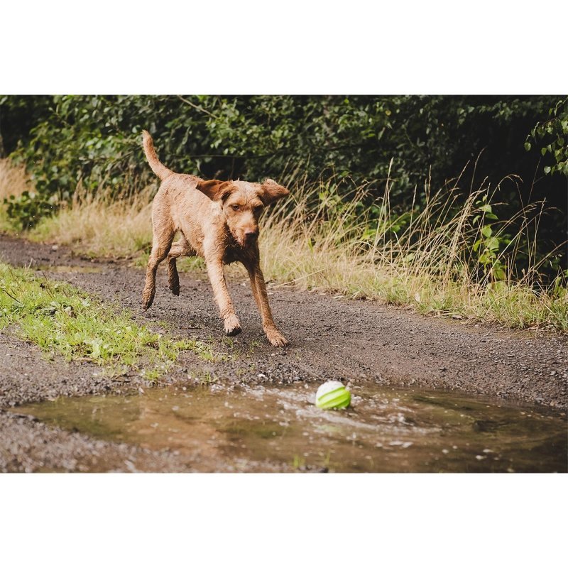 Ball