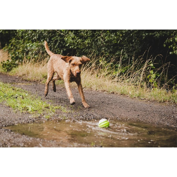 Ball