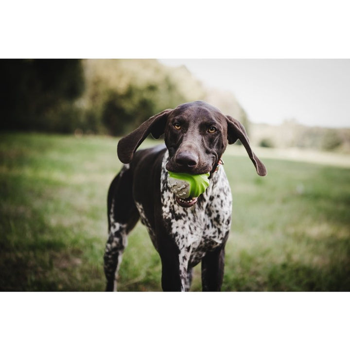 Ball
