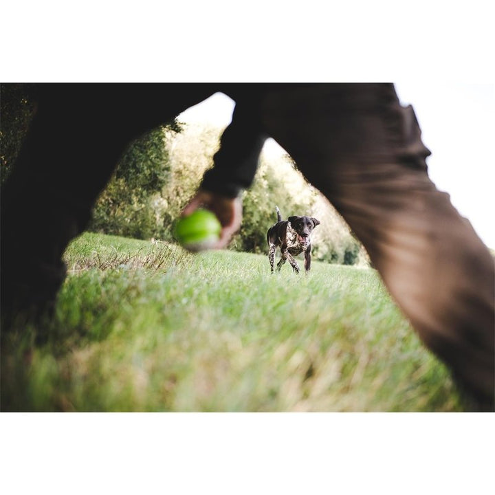Ball