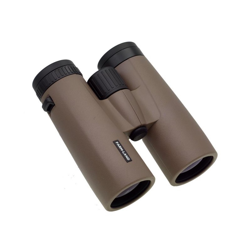 Fernglas 10x42