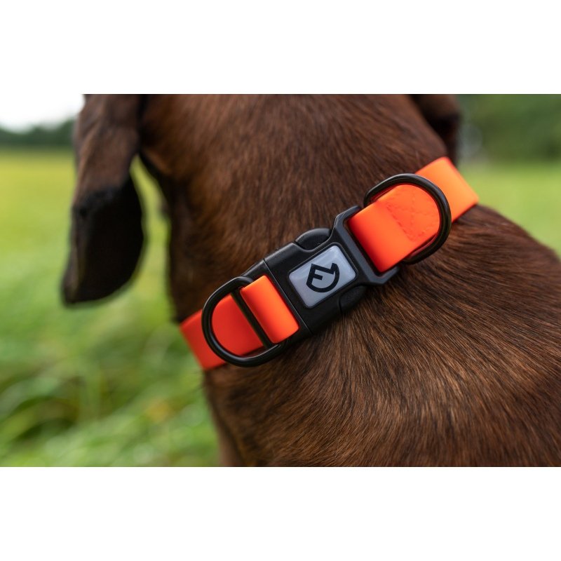 Halsband Verstellbar Signalorange
