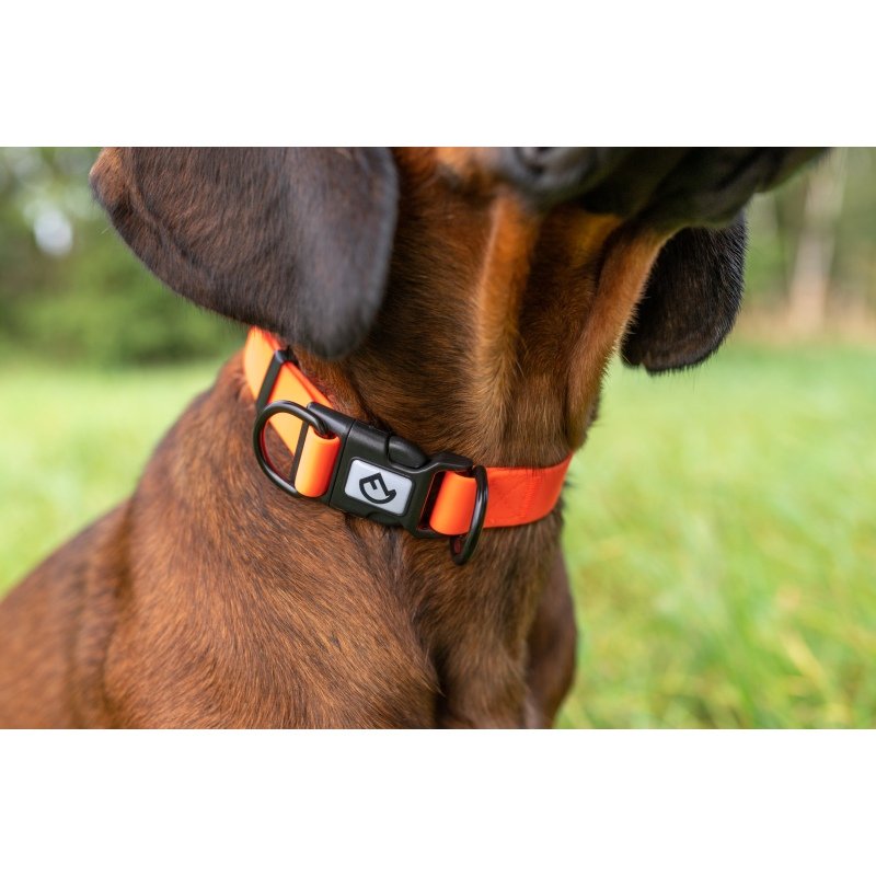 Halsband Verstellbar Signalorange