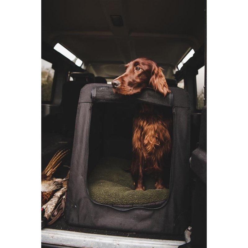 Hunde-Autotransportbox