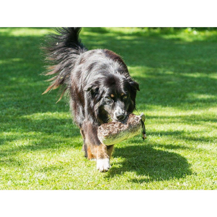 Hunde Dummy Komplettfell