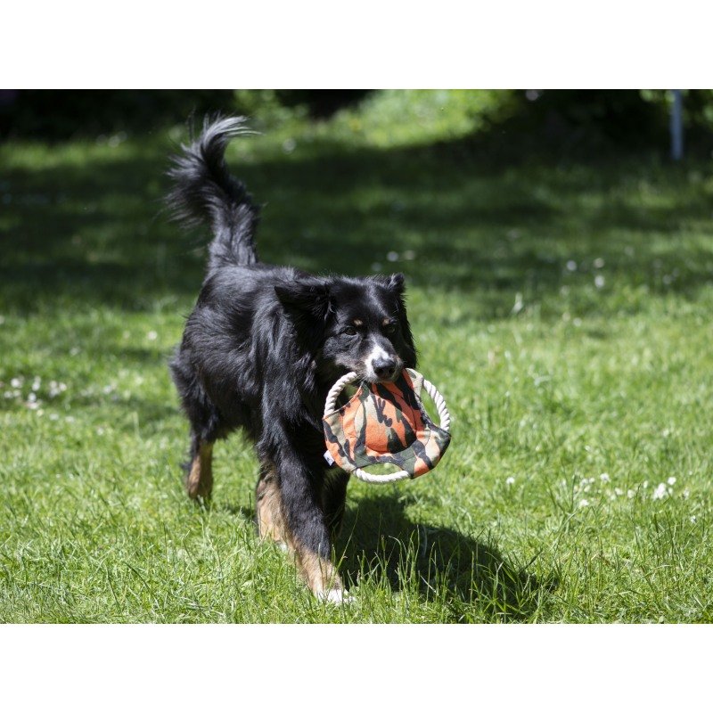 Hunde Frisbee Camo