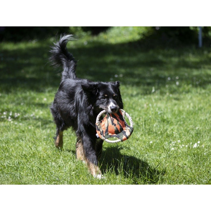 Hunde Frisbee Camo