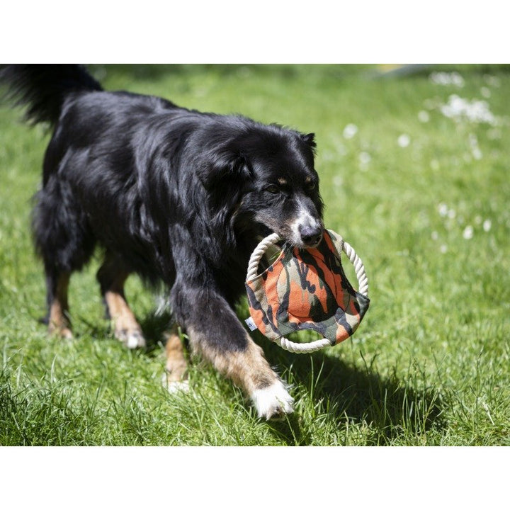 Hunde Frisbee Camo