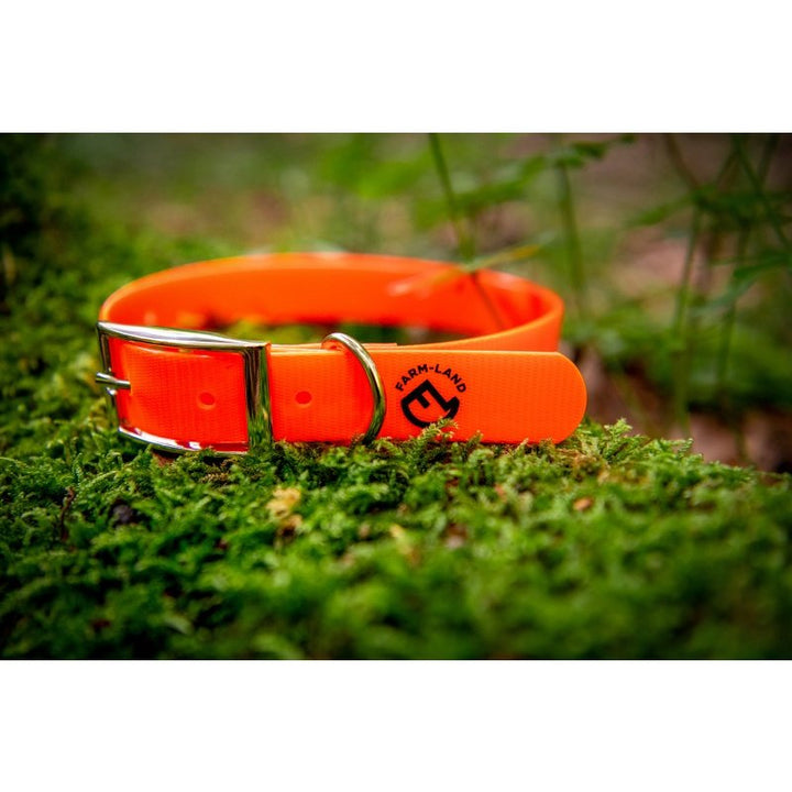Hunde Halsung Basic signal
