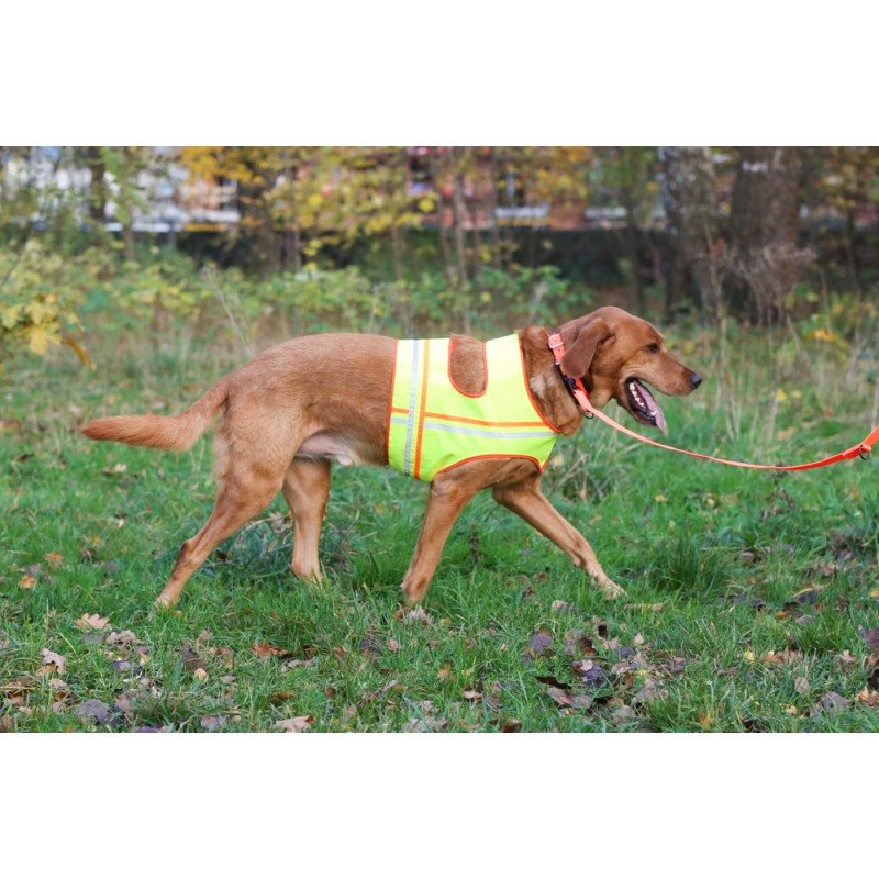 Hunde Reflektorweste