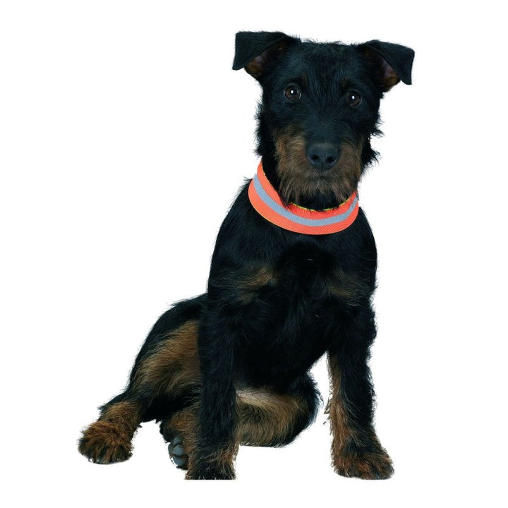 Hunde Signalband wendbar