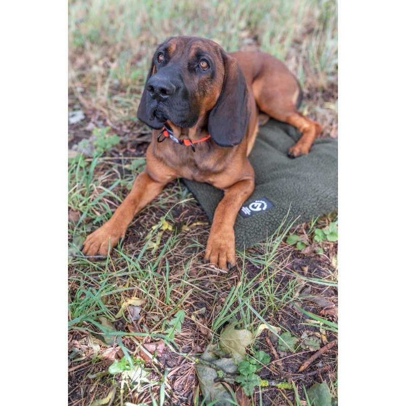 Hundedecke Faserpelz 50x70cm