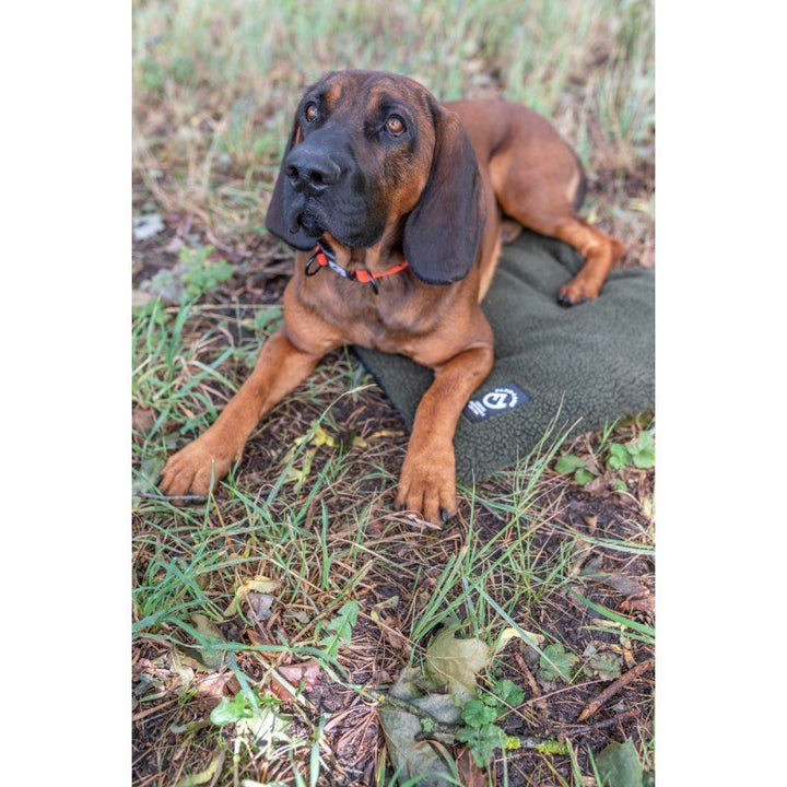Hundedecke Faserpelz 50x70cm