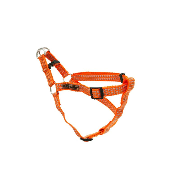 Hundegeschirr orange
