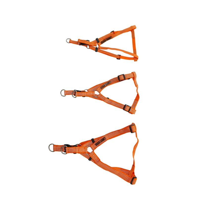 Hundegeschirr orange