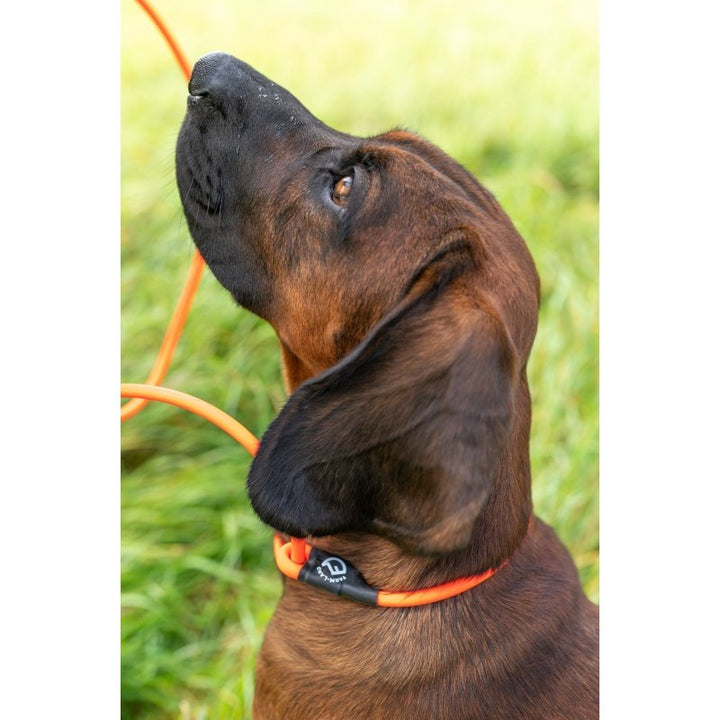 Hundeleine Lautlos Orange