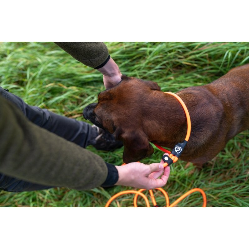 Hundeleine Lautlos Orange