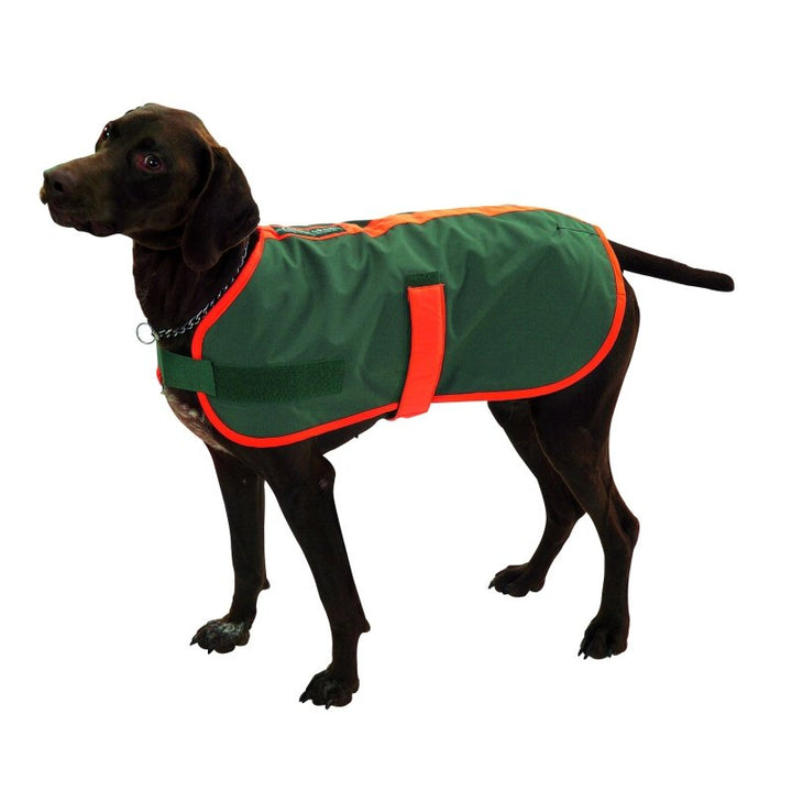 Hundemantel mit signalorangem Einfaß