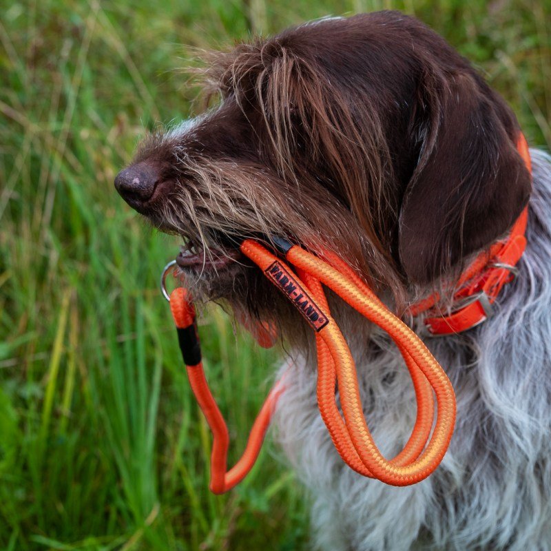 Jagdleine Pirsch orange