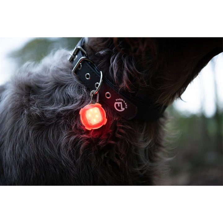 LED Anhänger Rot