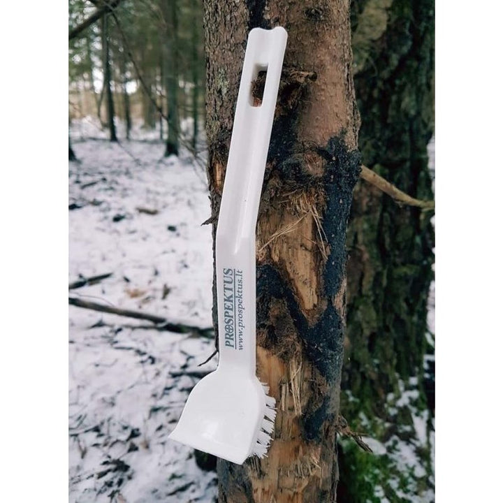 Bürste für Pinienteer